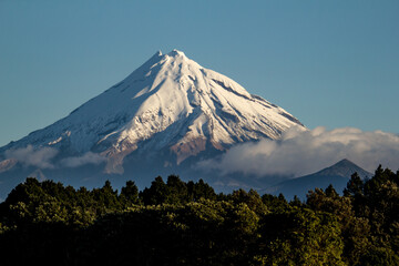 Fototapeta premium Snow-capped Mount Taranaki in New Zealand with forest in the foreground