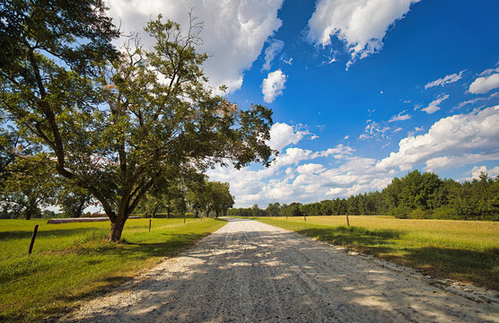A nice country landscape of a rural dirt and gravel road with leavy trees and shade in the countryside on Mid Pines Road in Raleigh, North Carolina, USA