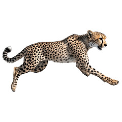 Cheetah in Motion: A striking cheetah, with its iconic spotted coat, is captured in full stride against a vivid background, embodying speed and agility.