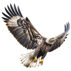 Majestic Eagle in Flight: A symbol of freedom and power, an American bald eagle soars gracefully against the sky, its wings fully extended in a captivating display of strength and elegance.