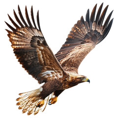 Majestic Eagle in Flight: An impressive eagle with outstretched wings soaring gracefully, demonstrating unparalleled freedom and power.