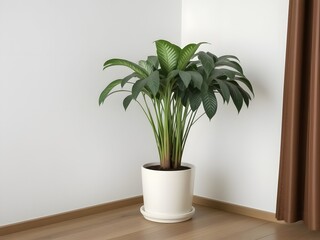 Fototapeta premium Lush green potted plant brings vibrant life and natural elegance into a modern, minimalist home interior.