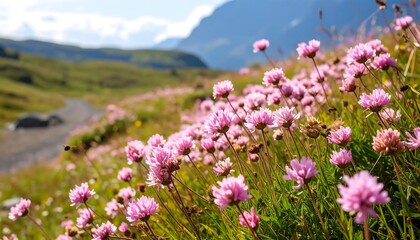 Obraz premium Lush pink wildflowers bloom along a mountain path