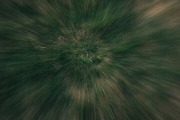 zoom effect photo of a green lawn