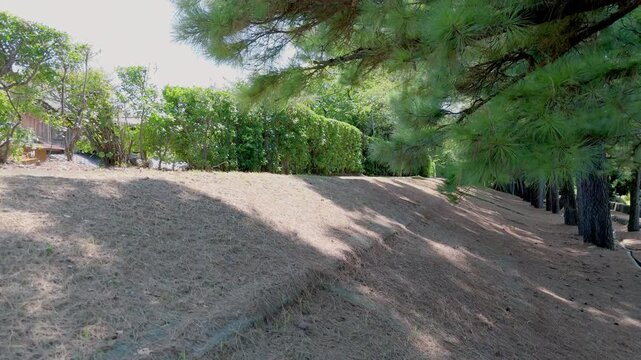 「濱口梧陵が造った広村堤防」和歌山県広川町 Hiromura Seawall Built by Hamaguchi Goryō &ndash; Hirogawa Town, Wakayama Prefecture
