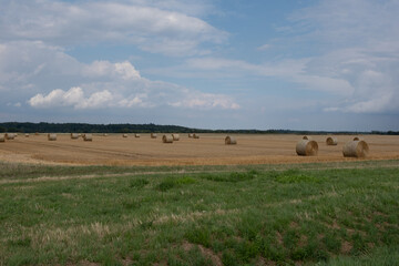 Obraz premium Round hay bales on golden field in summer, rural landscape under blue sky
