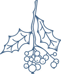 Holly Branch with Berries Sketch