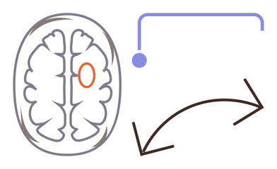 Diagram of brain hemispheres with highlighted region and connected neural pathways. Ideal for neuroscience, cognitive science, education, brain health, medical research, mental processes, learning