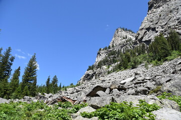 rocky mountain landscape, Grand Teton