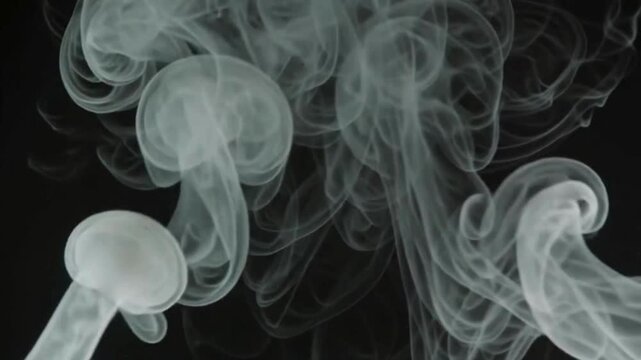 Loopable 4K fog machine emitting soft atmospheric plumes on black background
