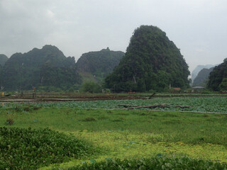 Tam Cốc &ndash; B&iacute;ch Động&nbsp;is a popular tourist destination in north&nbsp;Vietnam&nbsp;and part of the&nbsp;Tr&agrave;ng An Scenic Landscape Complex&nbsp;UNESCO World Heritage site.
