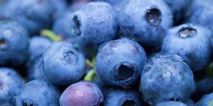 A close-up of fresh, ripe blueberries, perfect for a healthy snack or recipe.