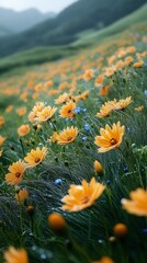 Yellow wildflowers water drops greenery photos
