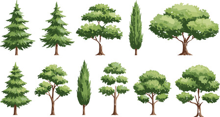 Set of green forest trees vector, natural botanical foliage illustration, various tree types, cartoon pine and deciduous trees, isolated nature elements for design