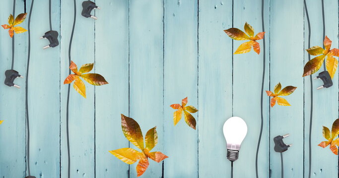 Fototapeta Image of autumn leaves on blue wooden boards