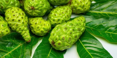 Obraz premium Fresh noni fruits and leaves display the vibrant colors of nature's bounty.
