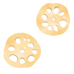 Watercolor style Japanese illustration of lotus root slices