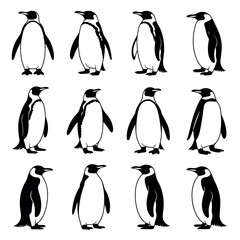 Penguin Bird Silhouette Set