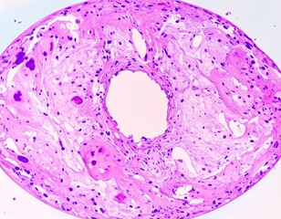 Microscopic view of tissue section