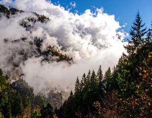 Majestic mountain landscape with clouds and trees