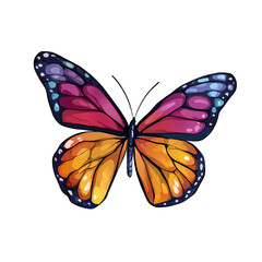 Wundersch&ouml;ne bunt schimmernde Schmetterlinge isoliert auf transparentem Hintergrund