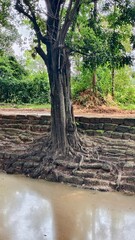 The sacred well of the Khmers