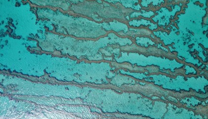 Aerial View of Teal Water Channels with Organic Branching Pattern