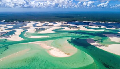 Obraz premium Aerial View of Tidal Flats S-Curves in Shallow Turquoise Water