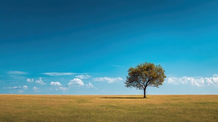 Obraz premium Serene Solitude: A lone tree stands resilient against a vast expanse of open field and endless blue sky, embodying tranquility and natural beauty in a captivating landscape.