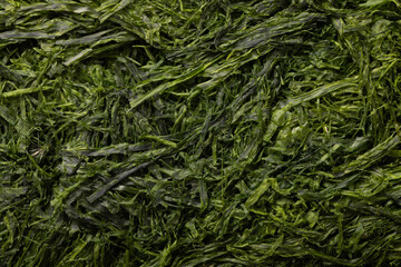 ［徳島県吉野川産］すじ青のり