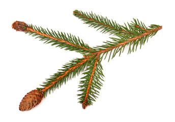 Christmas decorative fir branch with cones isolated on white background. Pine, spruce, holidays, New Year