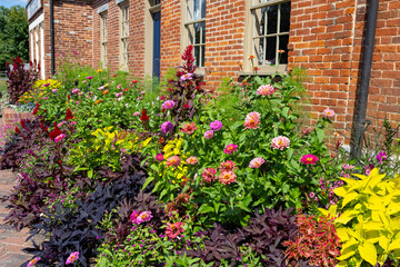 flowers in the garden