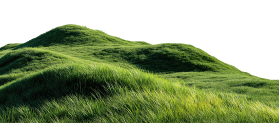 Lush green hills, gently sloping, covered in tall grass swaying in the wind. A detailed view of a field with rolling hills, outlined in a dotted line