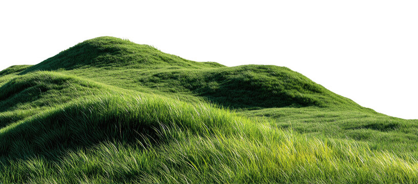 Lush green hills, gently sloping, covered in tall grass swaying in the wind. A detailed view of a field with rolling hills, outlined in a dotted line - Powered by Adobe