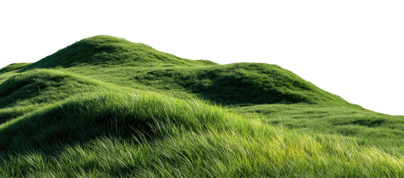 Lush green hills, gently sloping, covered in tall grass swaying in the wind. A detailed view of a field with rolling hills, outlined in a dotted line