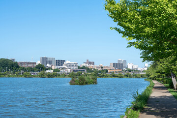 千波湖と市街地の風景（茨城県水戸市）