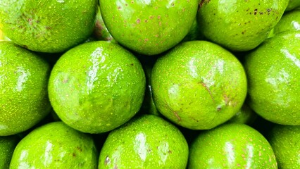 Fresh Shiny Green Avocado in the Market. background and texture