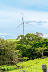 Single wind turbine rising above dense green forest on a clear day