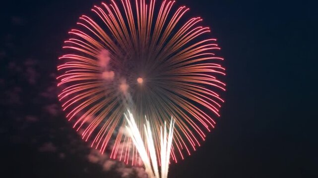 Fireworks flashing in the evening sky.