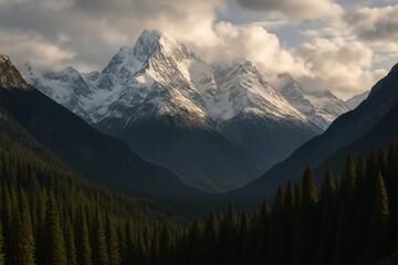 Sunlit Snowy Peak Over Forest Valley
