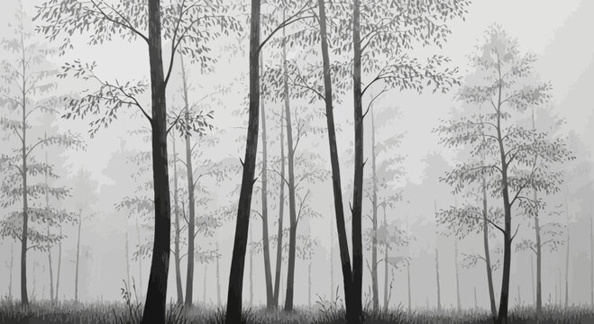 Ethereal monochrome forest with trees shrouded in mist creating a serene atmosphere