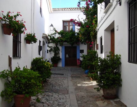 Fototapeta Spanish Courtyard Garden Scene (1)