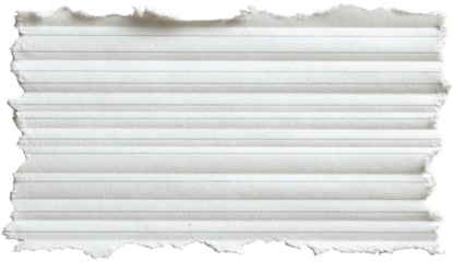 Ripped piece of lined paper