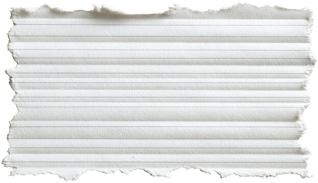 Ripped piece of lined paper