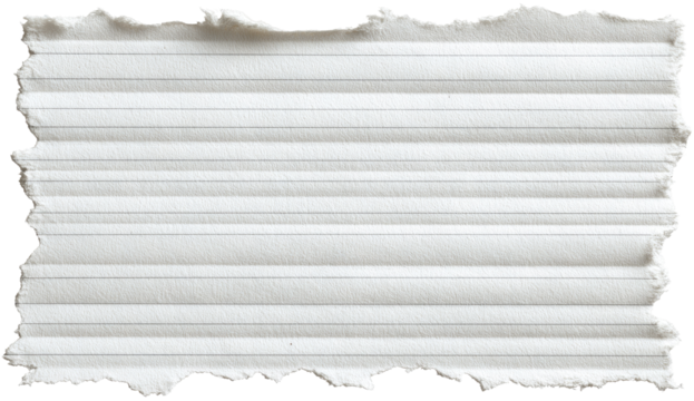 Ripped piece of lined paper