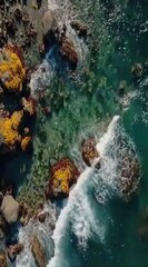 Aerial shot of rocky coastline with clear turquoise water and crashing waves. Vibrant orange flora covers the rocks near the shore