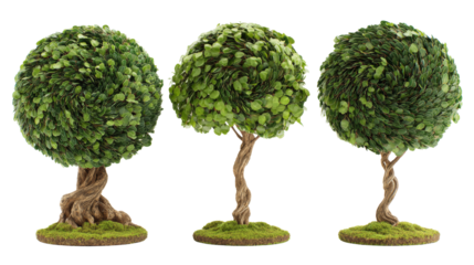 Three stylized topiary trees with meticulously shaped green foliage isolated on a transparent canvas