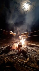 Marshmallows roast over a crackling campfire under a glowing moon and cloudy sky, sticks held close to the flame