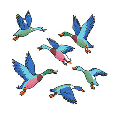 Naklejka premium A charming and colorful illustration of a flock of six stylized ducks in mid-flight, soaring together with vibrant blue and pink plumage against a plain background.