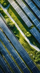 Aerial view of rows of solar panels separated by a grassy walkway, creating a geometric pattern in the sunlight, promoting clean energy generation